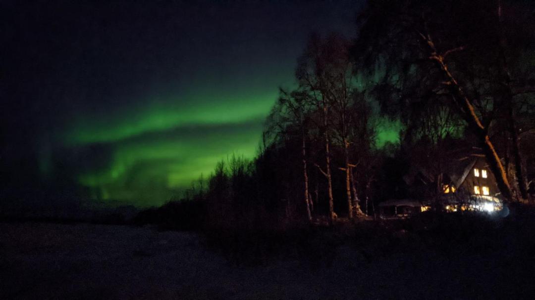 Susitna River Lodging, Backwoods Cabins Talkeetna Εξωτερικό φωτογραφία